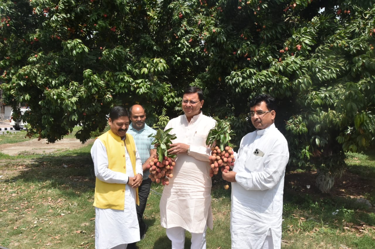 मुख्यमंत्री आवास परिसर में लीची सहित अन्य फलदार पेड़ों का मुख्यमंत्री निरीक्षण किया  फलदार पेड़ लगाने के लिए जनजागरूकता की भी बताई जरूरत