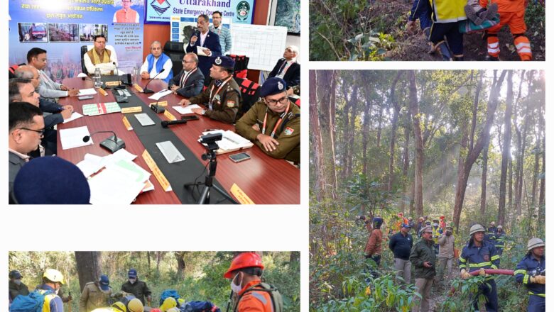 वनों में आग लगाने वाले असमाजिक तत्वों के खिलाफ भी सख्त कार्रवाई की जाए :धामी