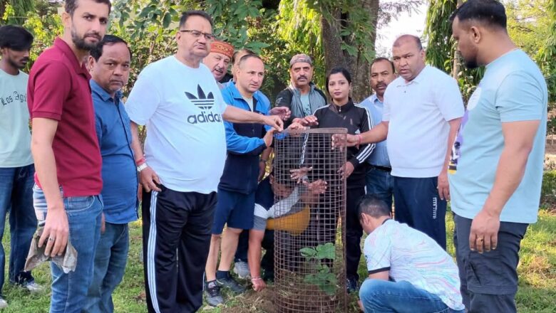 मंत्री गणेश जोशी ने अधिकारियों को स्पष्ट निर्देश दिए गए है कि “पौधारोपण केवल एक दिन का कार्य नहीं है, बल्कि इसके बाद उसकी देखरेख भी उतनी ही जरूरी है