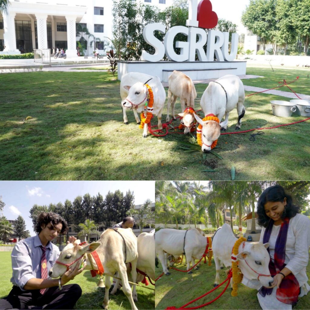 छोटी कद-काठी, कम जगह और कम चारा—SGRR विश्वविद्यालय में नैनो गाय पर शुरू होगा वैज्ञानिक अध्ययन